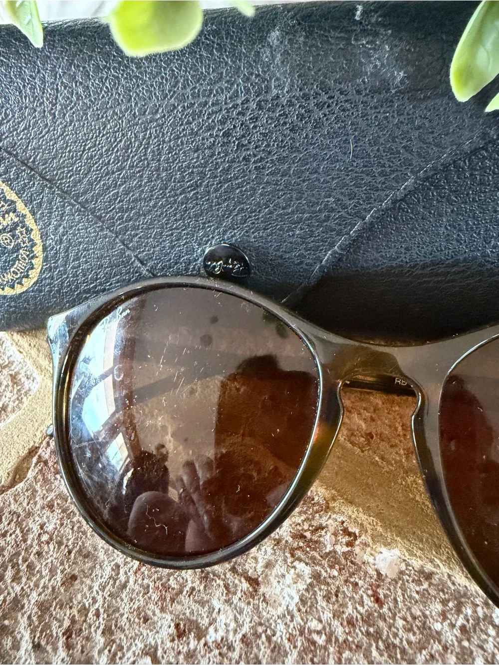 Ray-Ban | Erika Brown Tortoiseshell Sunglasses